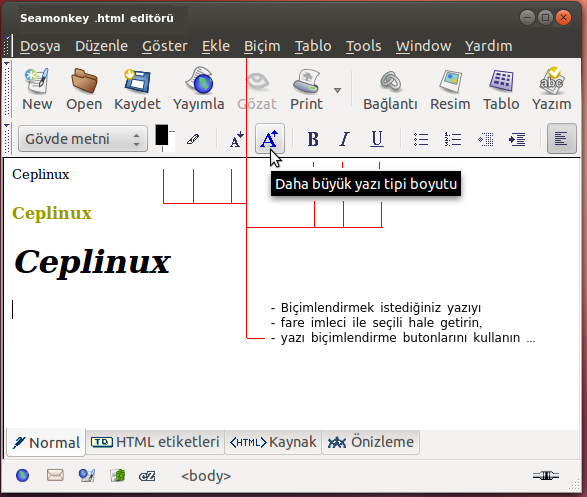 html_editörü_metin_biçimleme
